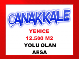 çanakkale yenice de köy bağlantı yolunda çevresi ağaç ve yeşillik olan 12.500 m2 yatırımlık arsa