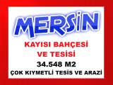 mersin mut ta 34.548 m2 kayısı bahçesi ve tesisi ayrıca havuzlu müstakil ev 