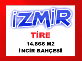 izmir tire de 14.866 m2 müstakil tapulu incir bahçesi ağaçları ile beraber